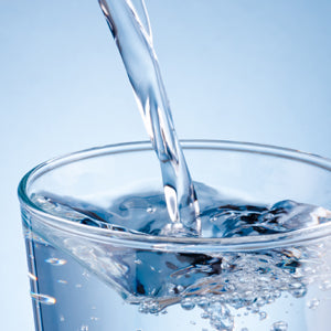 Clean Camper Ultra-Premium RV Inline Water Filter